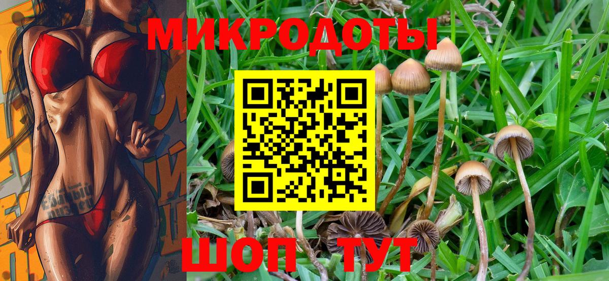 Псилоцибиновые грибы GOLDEN TEACHER  Вход с VPN  Саратов 